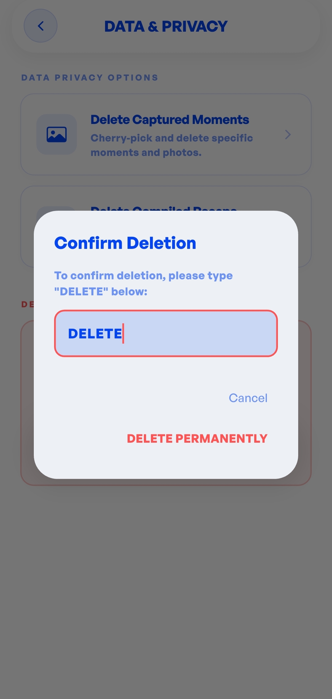 Second verification dialog asking to type 'DELETE' in a text field, with the 'DELETE PERMANENTLY' button highlighted in red